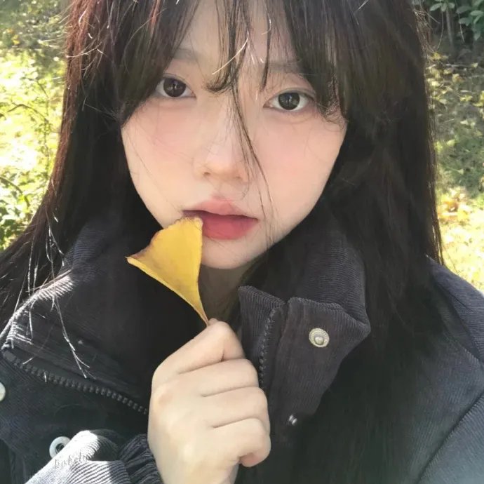 小黄山少年梦
