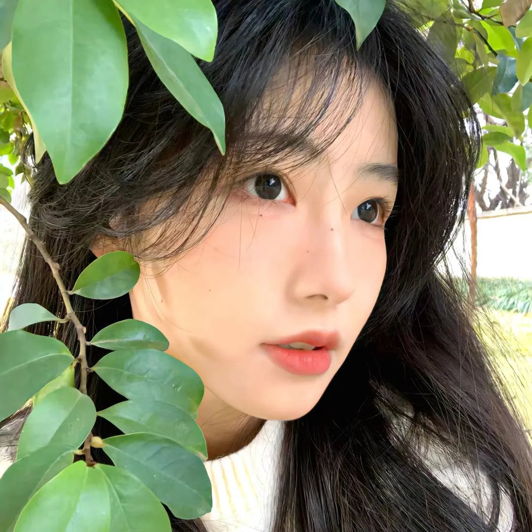 拳语者