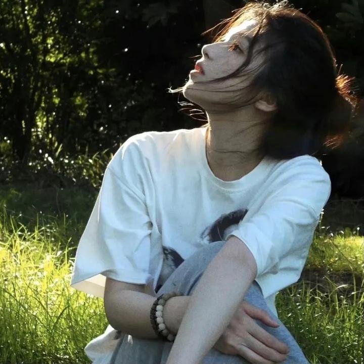 沧月绘